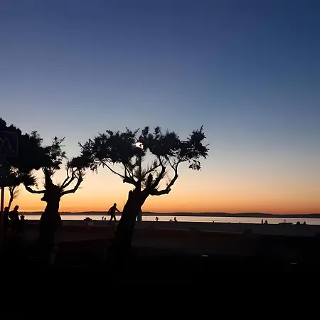 T3 Hyper Centre - Parking Apartment Arcachon