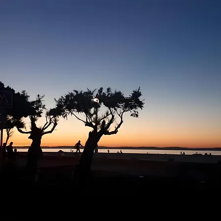 Coeurdesable - T3 Hyper Centre - Parking Apartment Arcachon