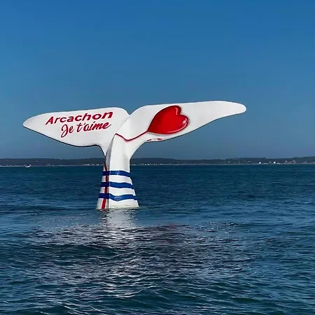 Coeurdesable - T3 Hyper Centre - Parking شقة